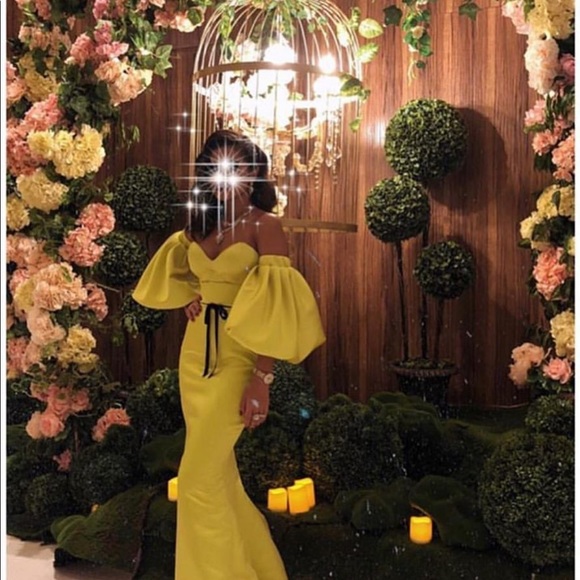 Meet your Posher, Bukky - Picture 1 of 1